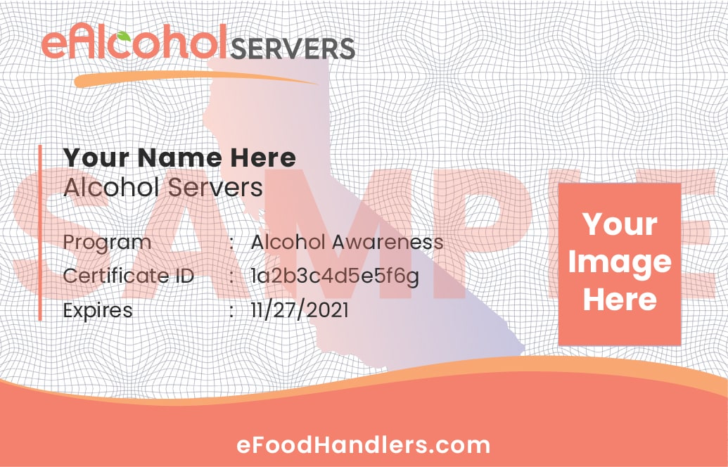 eFoodHandlers® Alcohol Server Training for your Alcohol Server Training